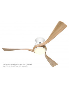 Ventilador de techo CasaFan estilo moderno