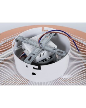 MOTOR 11055P CALLISTO ROSA