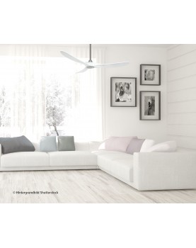 room eco genuino blanco