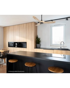 show room ventilador