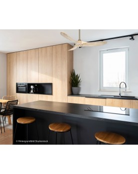 showroom ventilador de techo