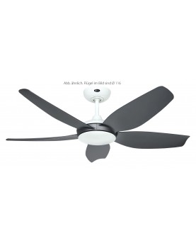 Ventilador de techo CasaFan 514287