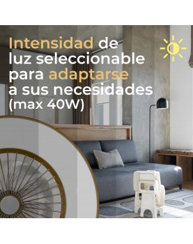 Vega CR intensidad de luz seleccionable