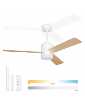 CANIS color blanco/marrón