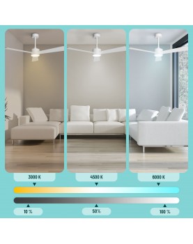 Incluye luz (3000K/4500K/6000). Potencia lumínica de 2400 lm/W.