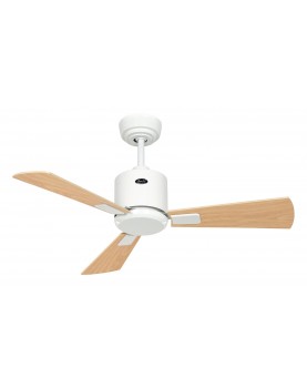 3 aspas de color haya