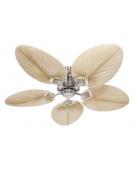 CARIBBEAN DREAM ECO II BN-PLM