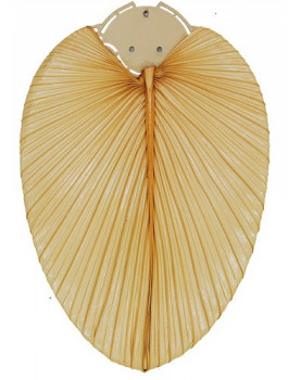 Set de aspas de hoja natural de palmera con diametro de 132 cm