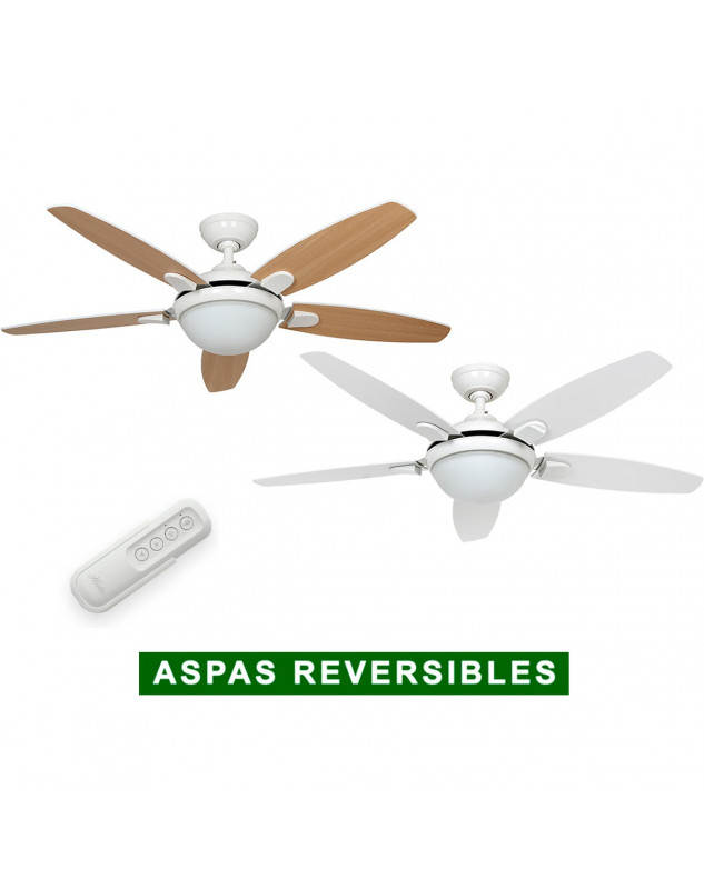 Ventilador de techo Hunter Contempo