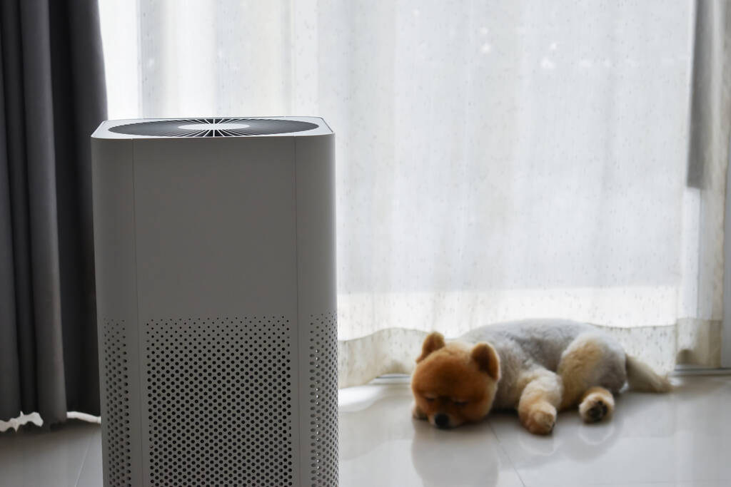 ¿Cuánto dura un filtro de purificador de aire?