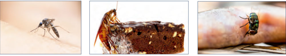 Antimosquitos eléctricos para uso profesional