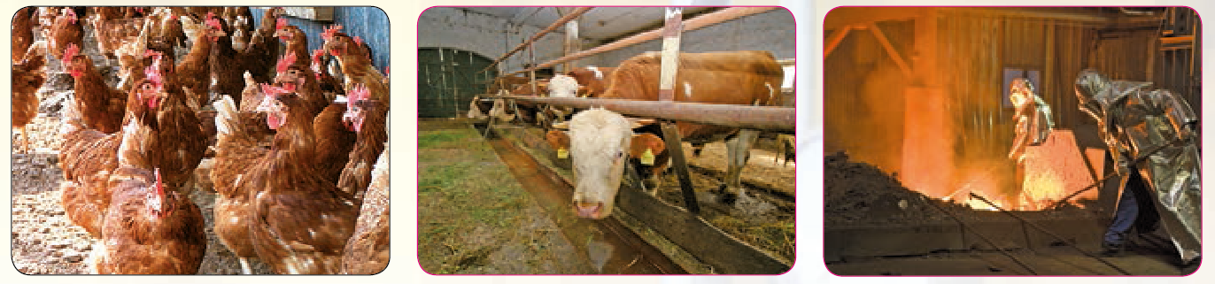 Ventilador de techo para industrias, ganaderia y agricultura con IP55